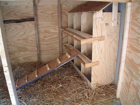 Get Nesting box in chicken coop | Cik Hen Coop