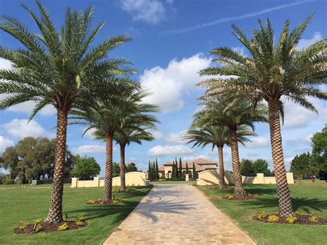 Thinking of closing off one of the driveway entries to we are building a home on 70 acres, and it has a 1500 ft long meandering tree lined driveway from the. Pin on landscape time