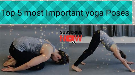Top 5 Yoga Poses Youtube
