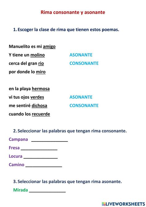 Rima Consonante Y Asonante Worksheet Teachers School Subjects Workbook