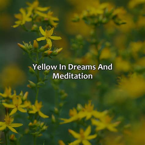 What Is The Spiritual Meaning Of The Color Yellow Relax Like A Boss