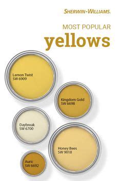 93 Best Yellow Paint Color Inspiration images in 2020 ... With green undertones, oceanside does a different take the last popular exterior house color for 2021 is this ambiguous little number called acacia haze.