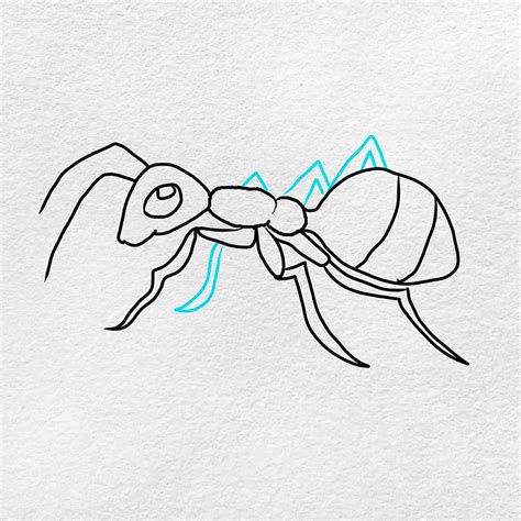 Как нарисовать муравья карандашом поэтапно для детей