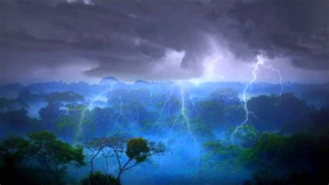 8 Hours Thunderstorm In Amazon Rainforest Relax Sleep Youtube