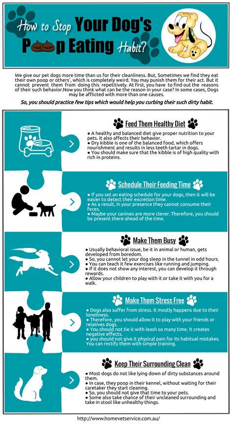 Pin On Pet Care Tips