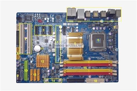 Complete This Description Of The Motherboard Telegraph