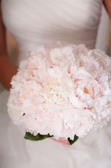 Lush White And Pale Pink Bridal Bouquet Elizabeth Anne