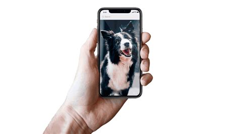 Choose from over 19,800 after effects intros & openers templates. iPhone X After Effects Template + Freebie on Behance