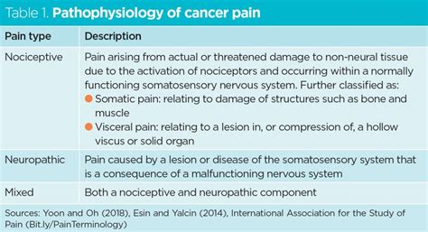 Pathophysiology Of Neuropathic Pain