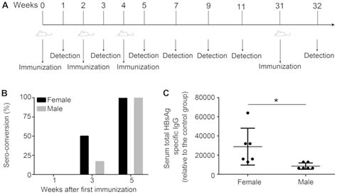 contribution of sex‑based immunological differences to the enhanced immune response in female