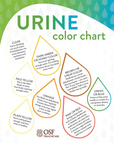 What Color Should Your Urine Be Osf Healthcare