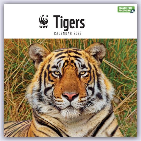Wwf Tigers Tiger 2023 Wandkalender Thalia