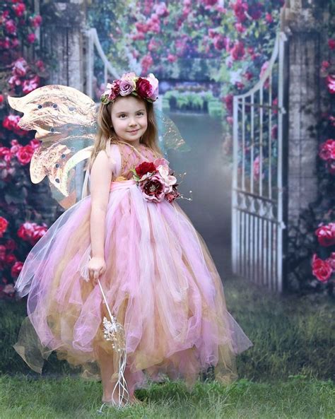 Fairy Dresses Fairy Dress Flower Girl Dresses Fairy Princess Costume