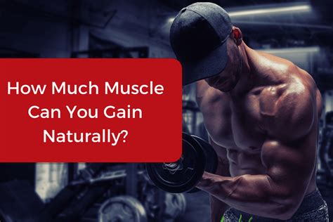 How Much Muscle Can You Gain In A Year Gaining Tactics