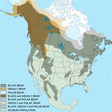 A Map Showing The Range Of Bears In North America With Different Areas