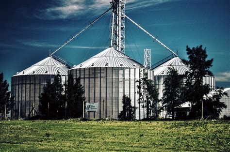 Silos In A Field Storage Of Agricultural Production Image Free Photo