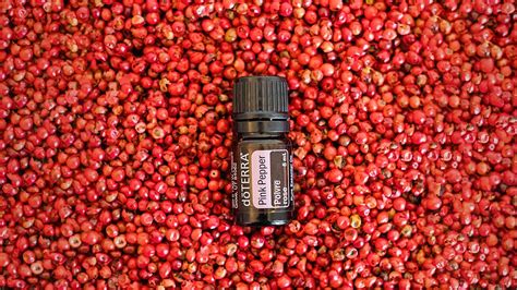 Pink Pepper Uses And Benefits Doterra Essential Oils