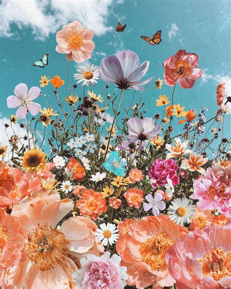 Peony Dreams — Siobhan Odwyer Art Flower Wallpaper Art Collage Wall