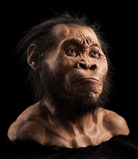 This Mysterious Ape Human Just Added A Twist To The Human Story Human