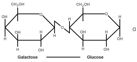 Lactose Structure Molecule