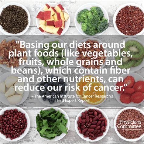 Reduce Cancer Risk With Plant Based Foods