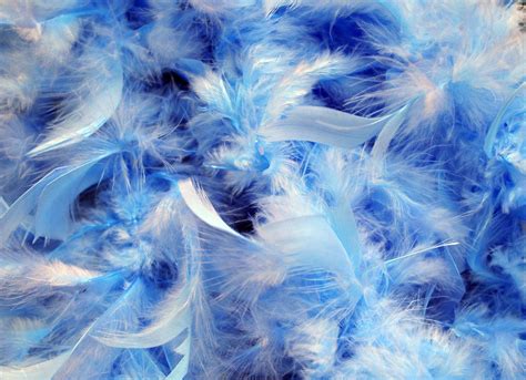Feathers Wallpaper 28 1280x928