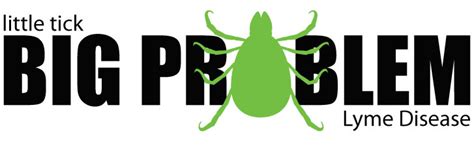 The most common sign of infection is an expanding red rash, known as erythema migrans, that appears at the site of the tick bite about a week after it occurred. Boala Lyme - Safe Travels