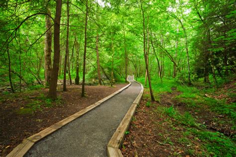 Accessible And Stroller Friendly Hiking Trails In The Smoky Mountains In