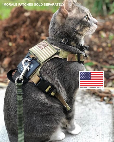 Kiloniner M1 Lightspeed Tactical No Pull Cat Harness For Etsy Ireland