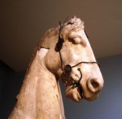 This Partial Statue Of A Horse Comes From The Ruins Of The Mausoleum Of