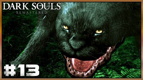 Dark Souls Black Knights And Giant Cats The Asylum To The Garden