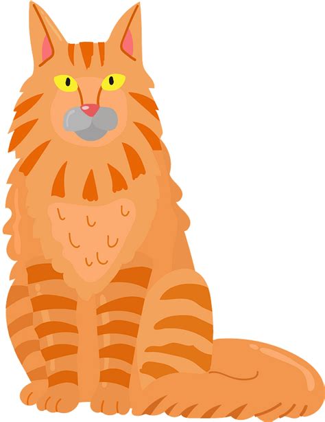 Maine Coon Clipart Free Download Transparent Png Creazilla