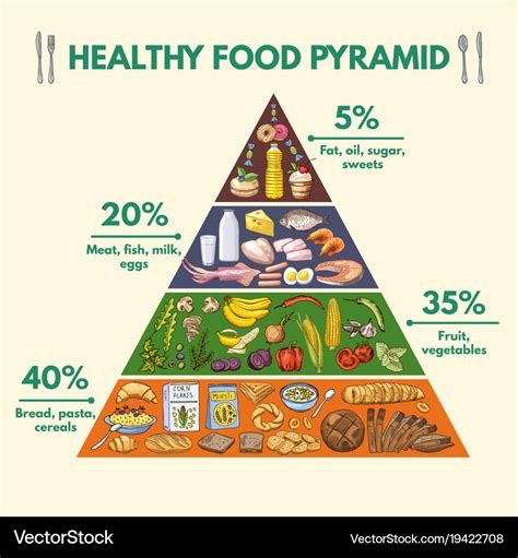 Healthy Food Pyramid Infographic Pictures With Vector Image