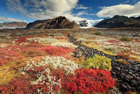 I Would Love To See A Tundra Landscape Colorful Autumn In Iceland