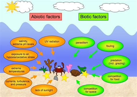 The Biotic And Abiotic Factors Governing The Marine Ecosystem