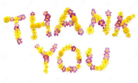 The Word Thank You Made Of Yellow Pink Red And Orange Flowers Stock