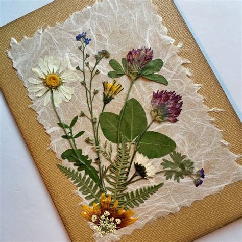 Northwest Wildflowers Card Dried Pressed Flower Card Boho Etsy In