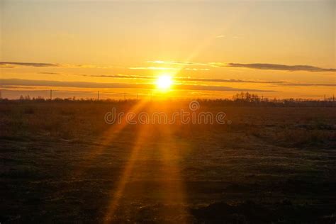 Sunset On A Warm Evening In The Field Summer Landscape Stock Image