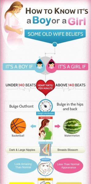 Pregnancy How To Know If Boy Or Girl Pregnancywalls