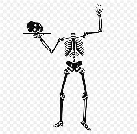 Halloween Human Skeleton Clip Art Png 641x800px Halloween Black And White Bone Free