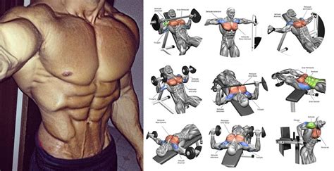 how to get a bigger chest 7 easy chest exercises to get your pecs noticed all