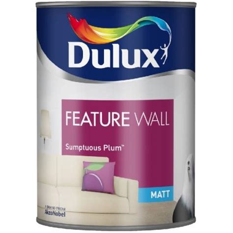 Dulux Paint Feature Wall Matt Emulsion 11 Colours Sumptuous Plum 125 Liter