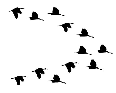 Onlinelabels Clip Art Flock Of Ducks Flying Silhouette