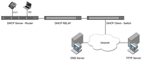 Dhcp Servers