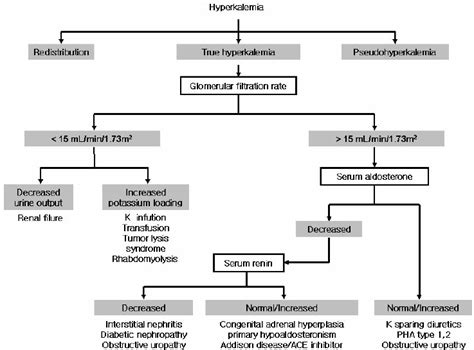 Differential Diagnosis Of Hyperkalemia Is Shown 15 Hyperkalemia Is