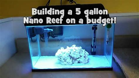 Building A 5 Gallon Nano Reef On A Budget Youtube Saltwater