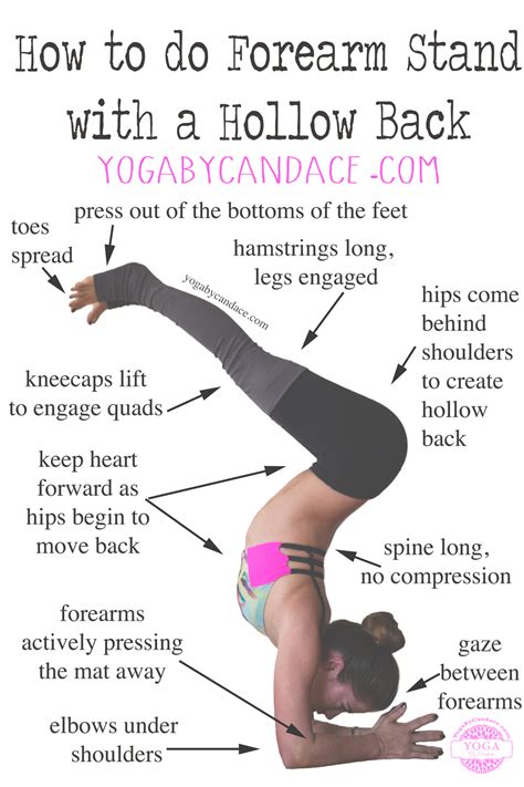 How To Do Forearm Stand Hollow Back — Yoga By Candace