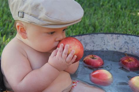 Apple Bobbing Bobbing For Apples Apple Fruit
