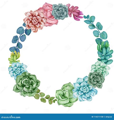 Watercolor Succulent Wreath Hand Painted Illustration Stock