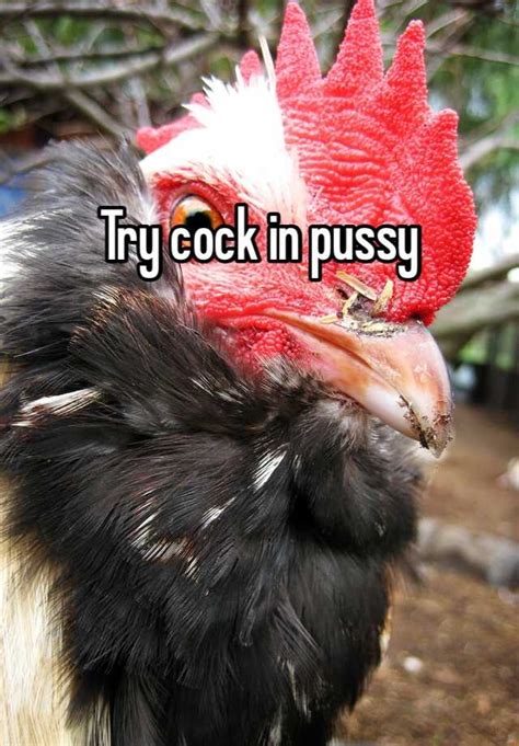 Try Cock In Pussy